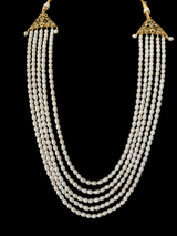LN31 Irma fresh water  pearls necklace ( SHIPS IN 4 WEEKS )
