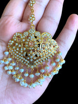 Gold plated silver rani haar in fresh water pearls ( READY TO SHIP)